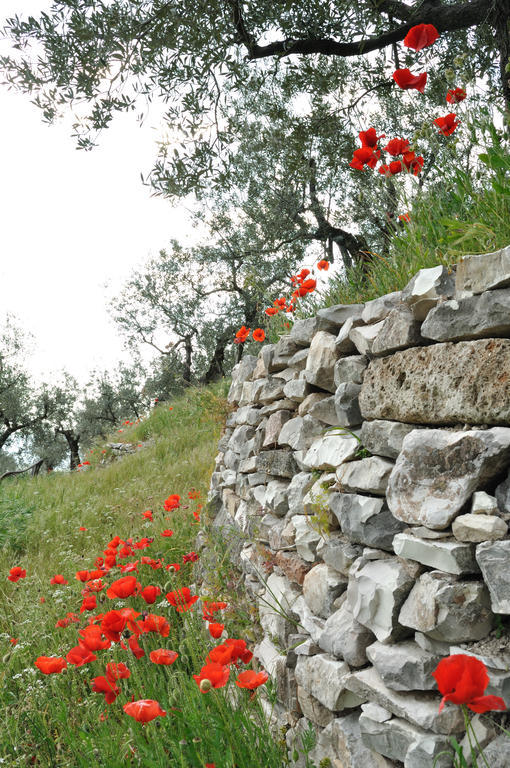 Agriturismo "Antico Frantoio" Villa Foligno Exterior photo